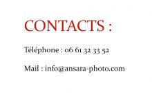 Contacts